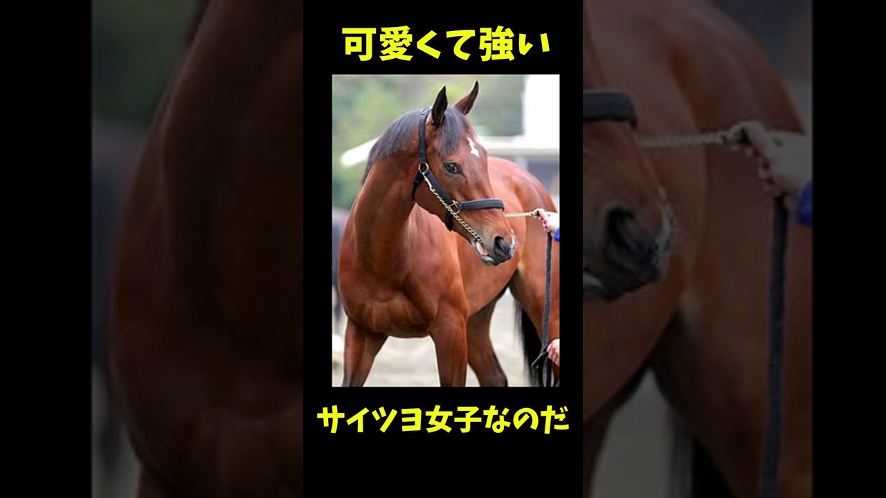 【サクッと紹介】アーモンドアイの魅力【競馬】
