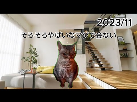 【有馬記念】彼女とのデート中に大負けする猫ミーム