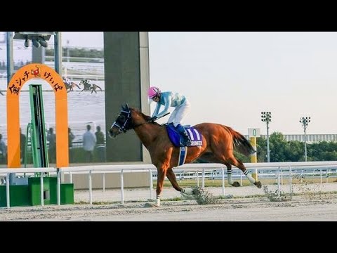 東海桜花賞　ダ2100m (右) 　アナザートゥルース　セ10　57.0　服部茂史　2024.4.9　　出走馬：ブリーザフレスカ、マンガン、アンタンスルフレ、キージュピター、トランセンデンス他