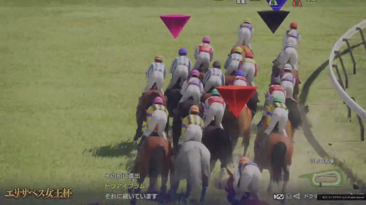 1990年 エリザベス女王杯