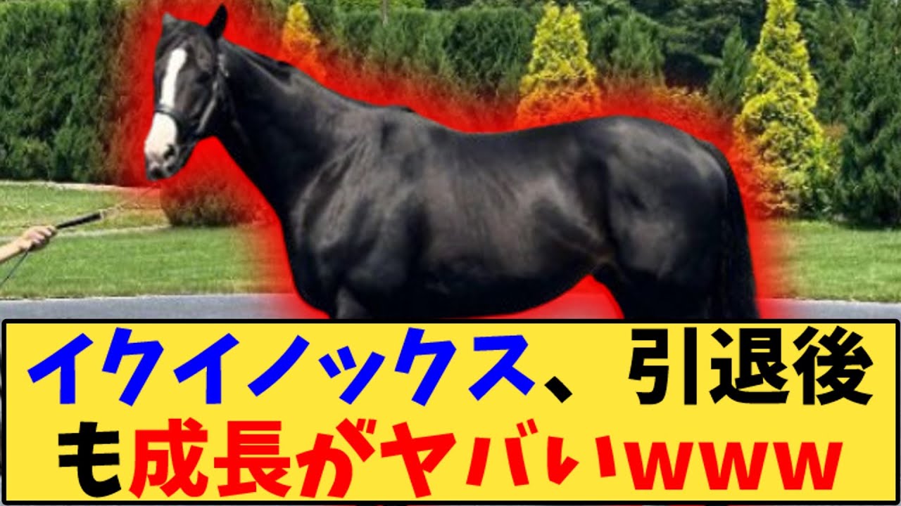 【競馬】「イクイノックス、引退後も成長がヤバいwww」に対する反応【反応集】