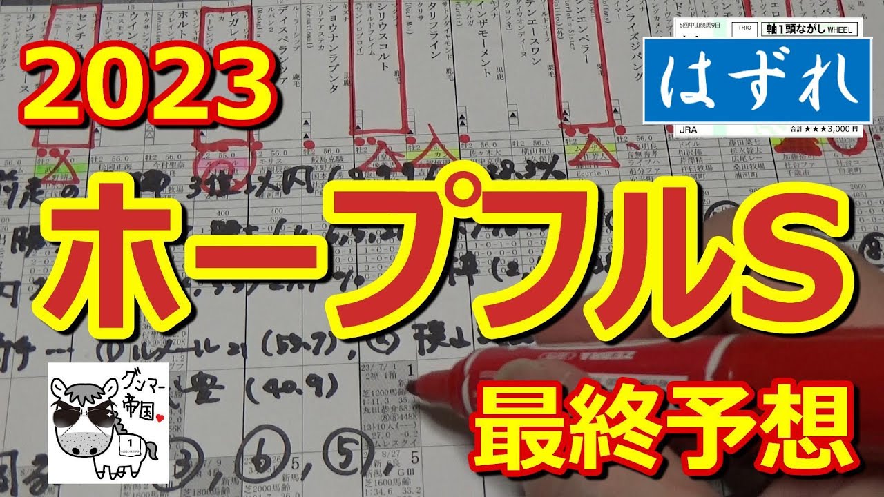 【ホープフルステークス2023】JRA今年最後のG1レース。相変わらず、今回も調教で最も良く見えた馬から買います。【最終予想】