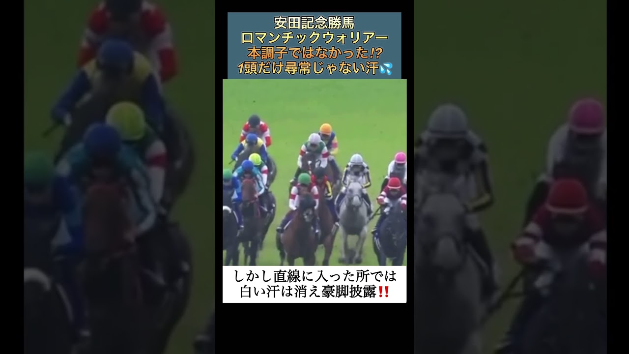 【競馬】本調子ではなかった⁉️安田記念制覇のロマンチックウォリアーの尋常じゃない発汗　#shorts   #ロマンチックウォリアー  #競馬