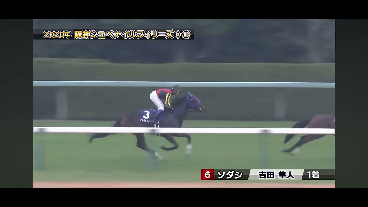 【ソダシ】阪神ジュベナイルフィリーズ