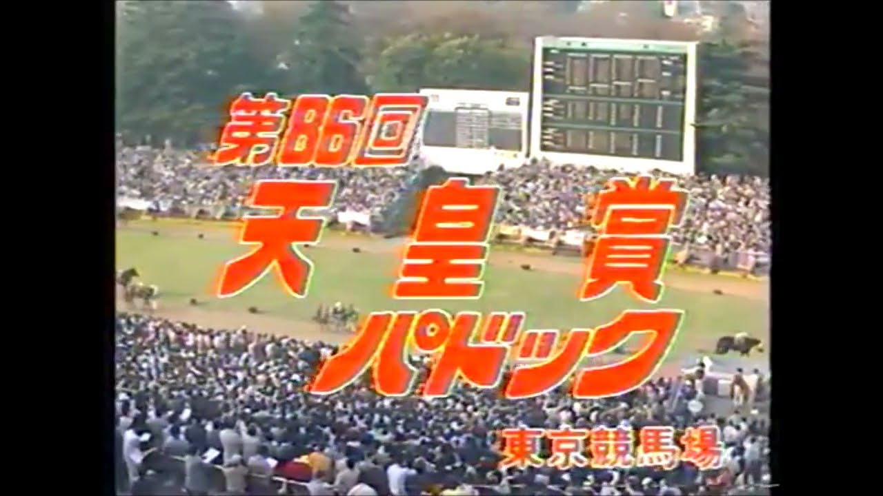 第86回　天皇賞（秋）パドック　1982.10.31　　出走馬：メジロティターン、ヒカリデユール、カツアール、トドロキヒホウ、アンバーシャダイ、メジロファントム、キョウエイプロミス、 サンエイソロン他