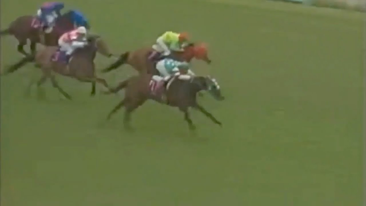 第46回 優駿牝馬 オークス GI ノアノハコブネ 1985.05.19