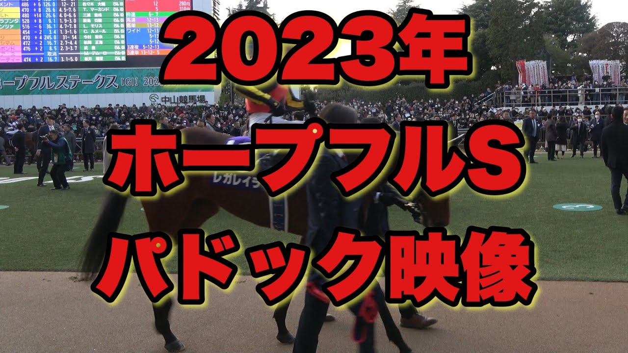 【4K動画】2023年ホープフルSパドック【中山競馬場】