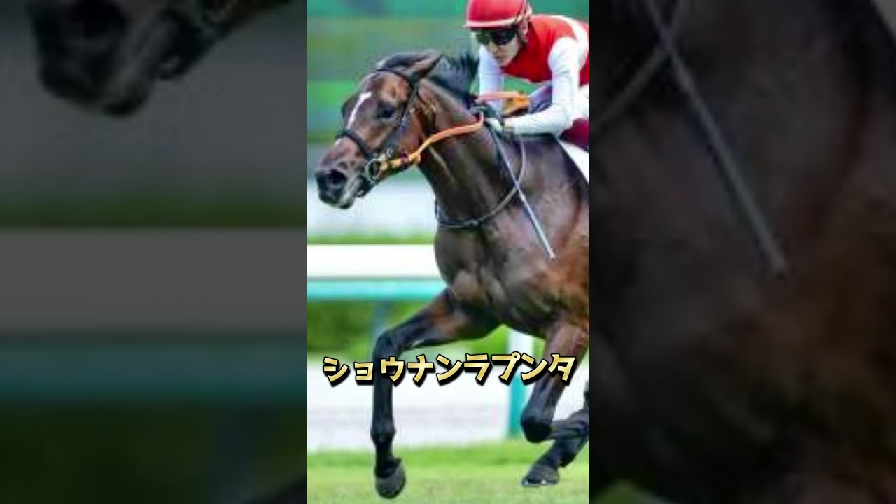 【 2023 ホープフルステークス 】注目馬１分紹介『 木曜日版 』人気はないけど適正は高い！？２歳戦は才能で走れ！！！（ ショウナンラプンタ ）