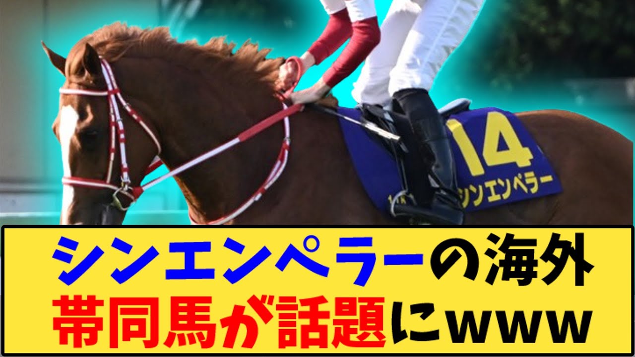 【競馬】「シンエンペラーの海外帯同馬が話題にwww」に対する反応【反応集】