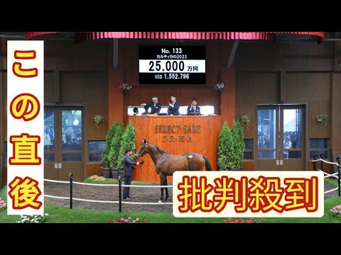 【セレクトセール２０２４】またまたＴＮレーシング！　菊花賞馬アスクビクターモアの半弟を２億５０００万円で落札
