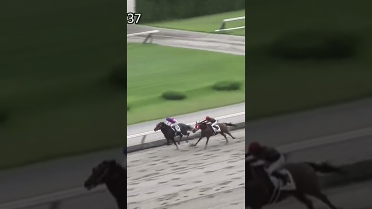 お見事でした。小牧太騎手一先ずお疲れ様でした。 #競馬 #競馬予想 #shorts