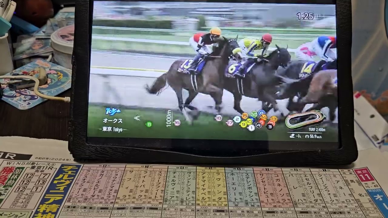 (競馬)第85回優駿牝馬・オークス(GⅠ)解説ダイジェスト