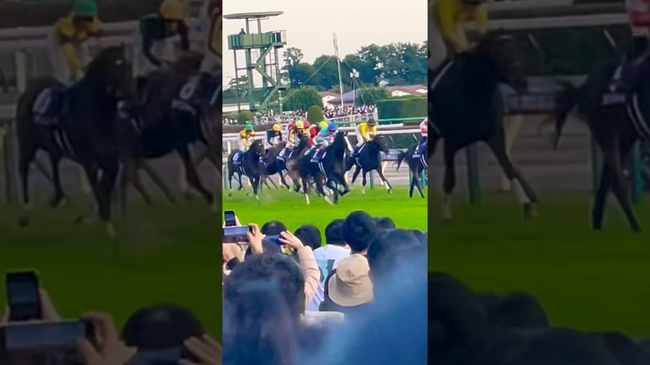 天皇賞秋G1 2022 イクイノックス 最後の直線　現地映像　ルメール騎手　東京競馬場