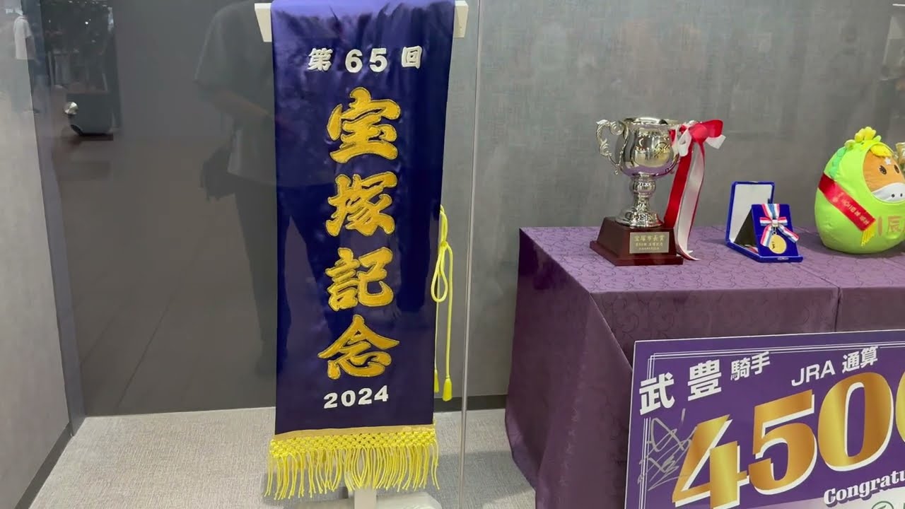 【第65回 宝塚記念(GI)】現地レース映像