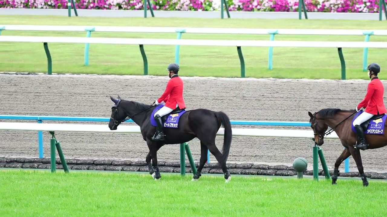 【京都競馬場】ありがとう、ビートブラック　2023.4.30