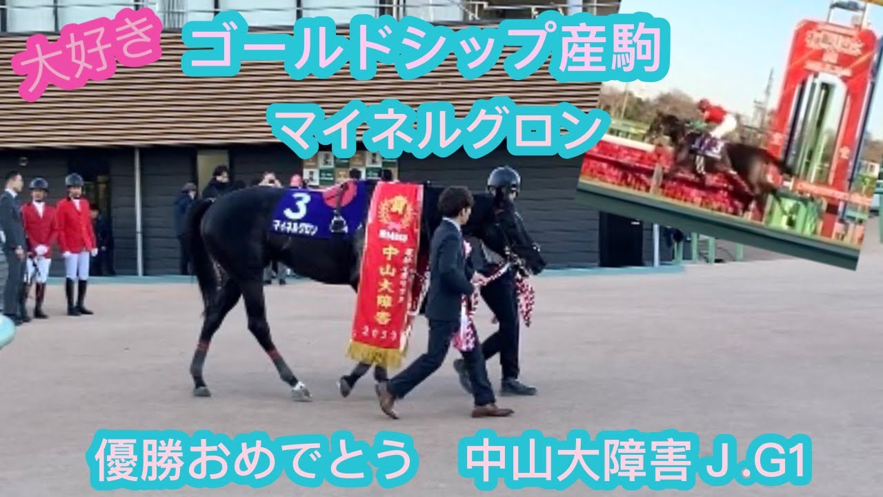 ゴールドシップ産駒　マイネルグロン　石神騎手　ゴールシーンや優勝レイ姿　優勝おめでとう　中山大障害