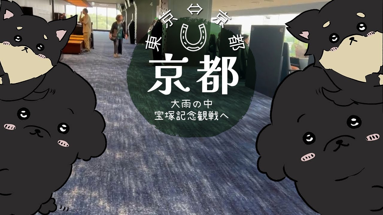 【2024 宝塚記念】大雨の中、京都競馬場へ！東京・京都往復、猛獣4匹と約900キロの旅