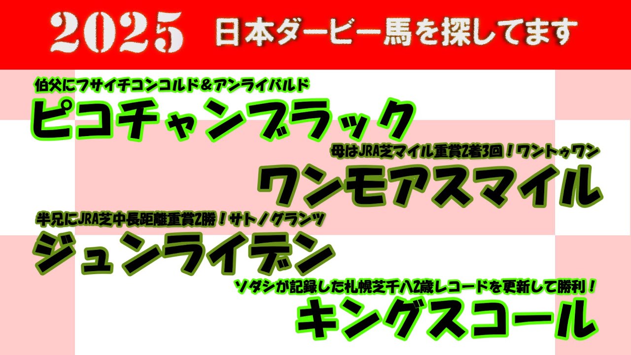 2025年日本ダービー馬を探してます #8　ピコチャンブラック、ジュンライデン、ワンモアスマイル、キングスコールを注目馬として取り上げました。