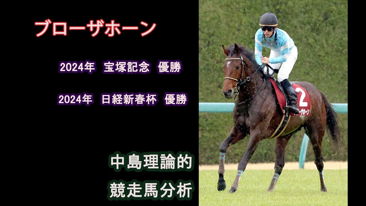 【中島理論】宝塚記念勝ち馬　ブローザホーン設計分析【競走馬分析】