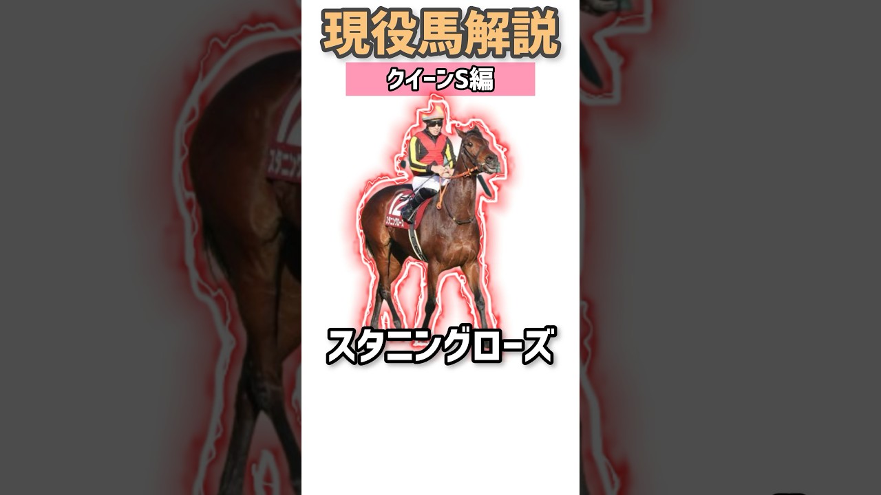 【現役馬解説】#25 スタニングローズ 枯れない薔薇の血筋【クイーンS】#クイーンステークス2024 #競馬