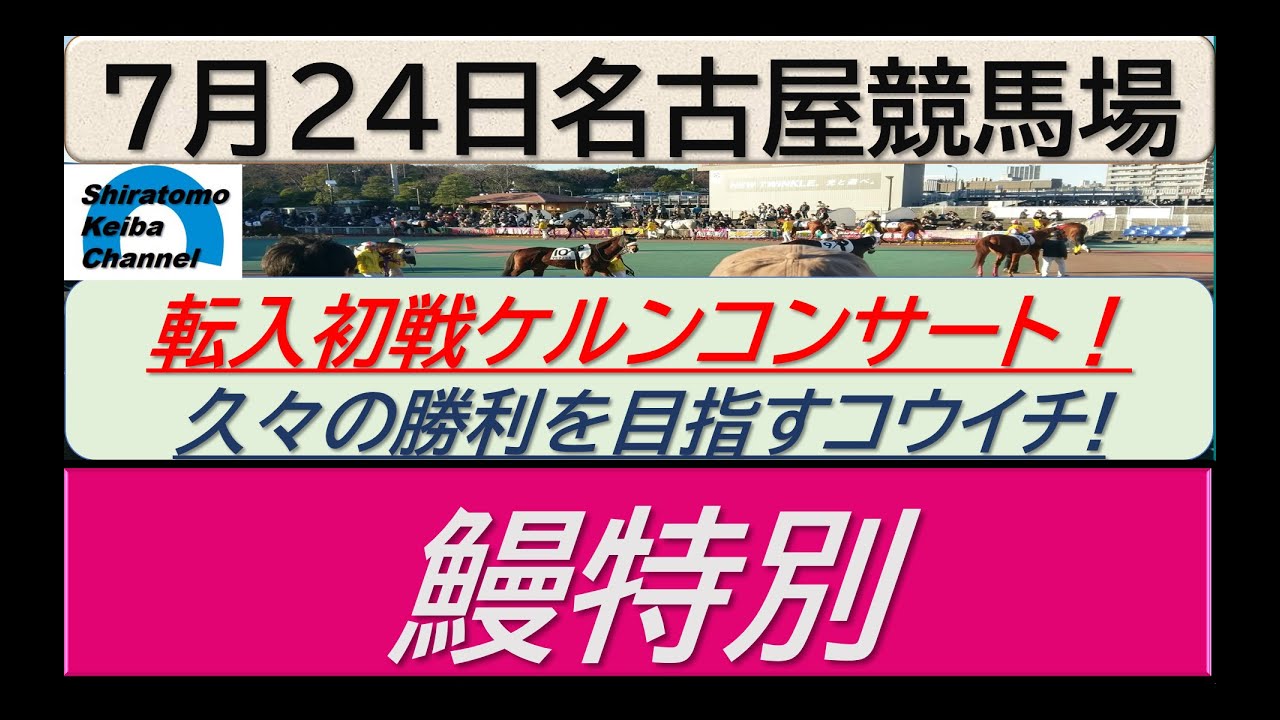 【競馬予想】鰻特別！～２０２４年７月２４日 名古屋競馬場 ：７－３３