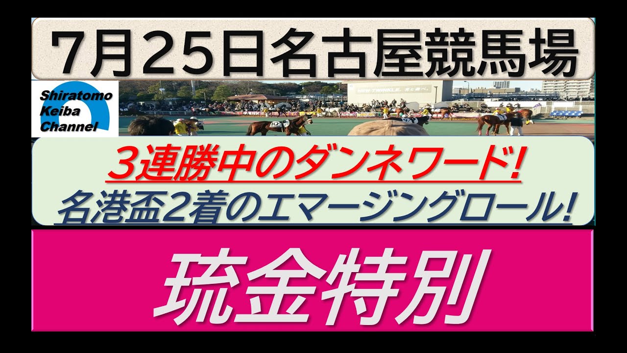 【競馬予想】琉金特別！～２０２４年７月２５日 名古屋競馬場 ：７－３６