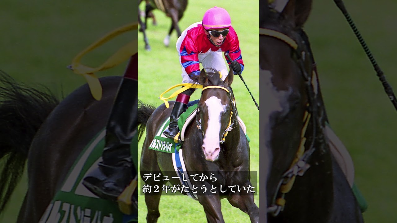 【１分で分かる名馬】カルストンライトオ　#競馬 #動画 #カルストンライトオ #アイビスサマーダッシュ #スプリンターズステークス #大西直宏