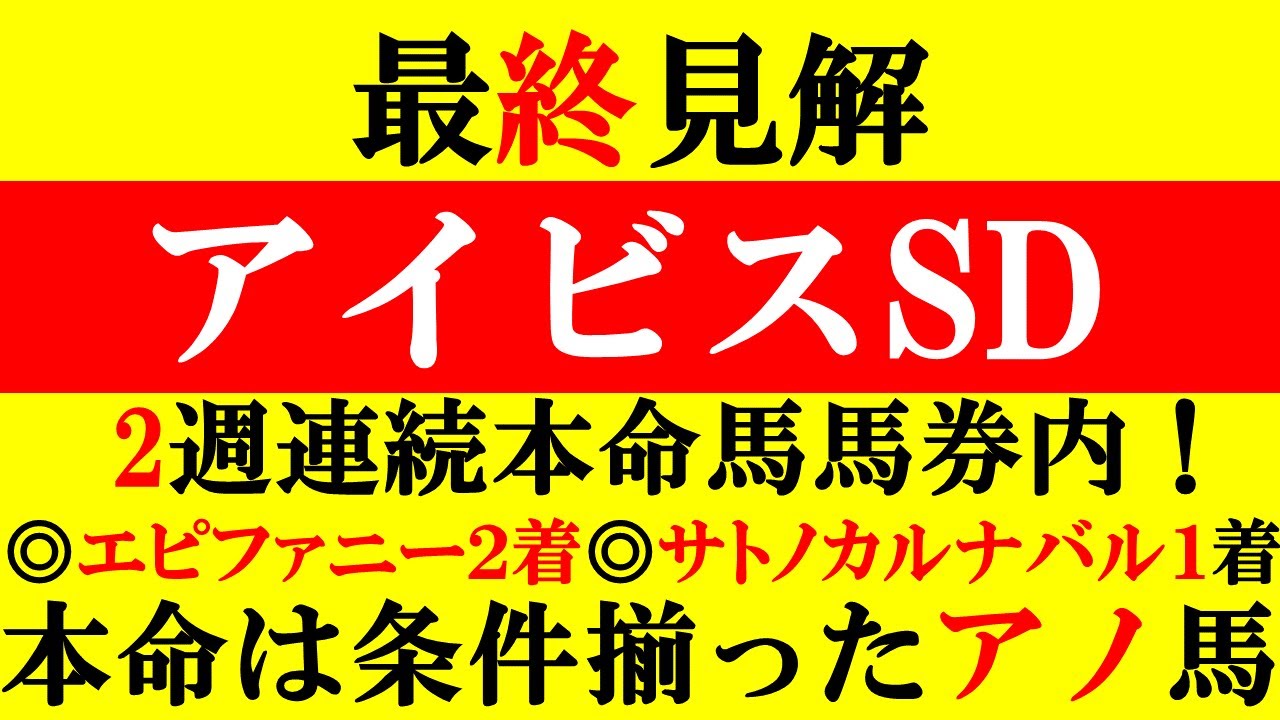 【アイビスSD 最終見解 2024】2週連続本命馬馬券内！本命は条件が揃ったアノ馬だ！