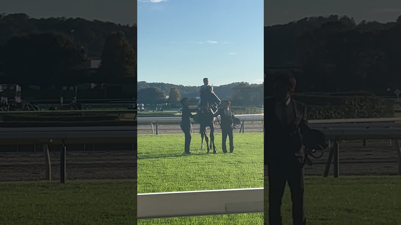 2023天皇賞・秋 ルメール騎手とイクイノックス、天皇陛下へお辞儀