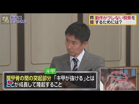 武豊TV！II #154 「宝塚記念プレイバック」 2024年07月28日🅵🆄🅻🅻🆂🅷🅾🆆【HD】