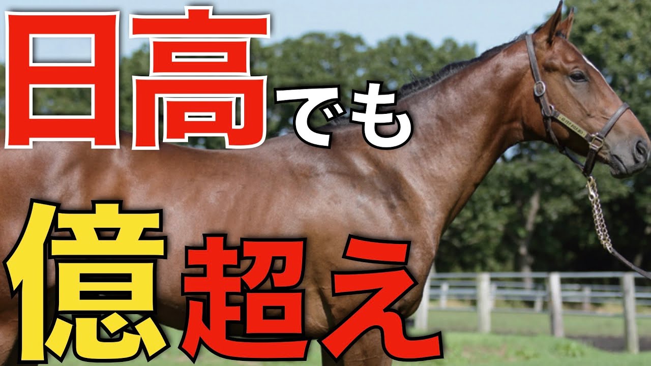 23年ぶりに億超えホース誕生！セレクションセールの驚異的な盛り上がり。