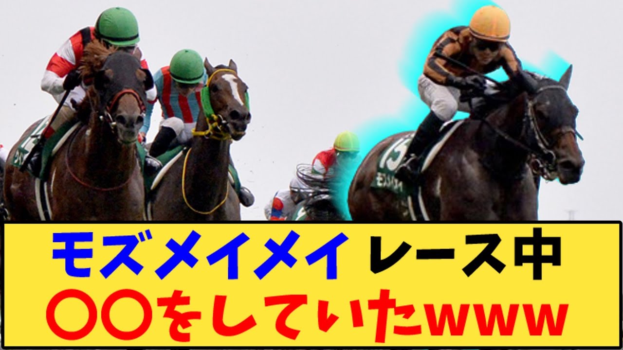 【競馬】「モズメイメイ レース中〇〇をしていたwww」に対する反応【反応集】