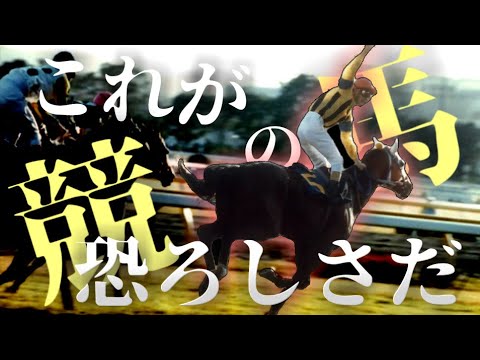 【競馬MAD】二桁人気G1優勝馬/岸田教団＆THE明星ロケッツ「Outsider Frontrunner」/これが競馬の恐ろしさ