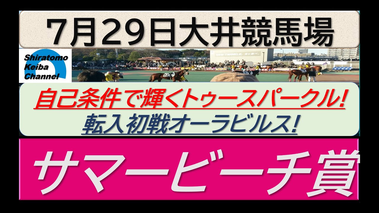 【競馬予想】サマービーチ賞！～２０２４年７月２９日 大井競馬場 ：７－４４