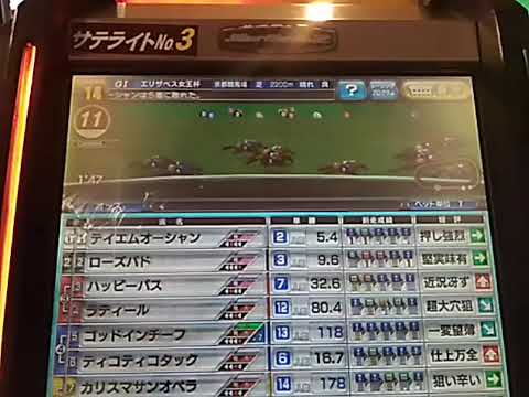 5ジャグルポケットー エリザベス女王杯