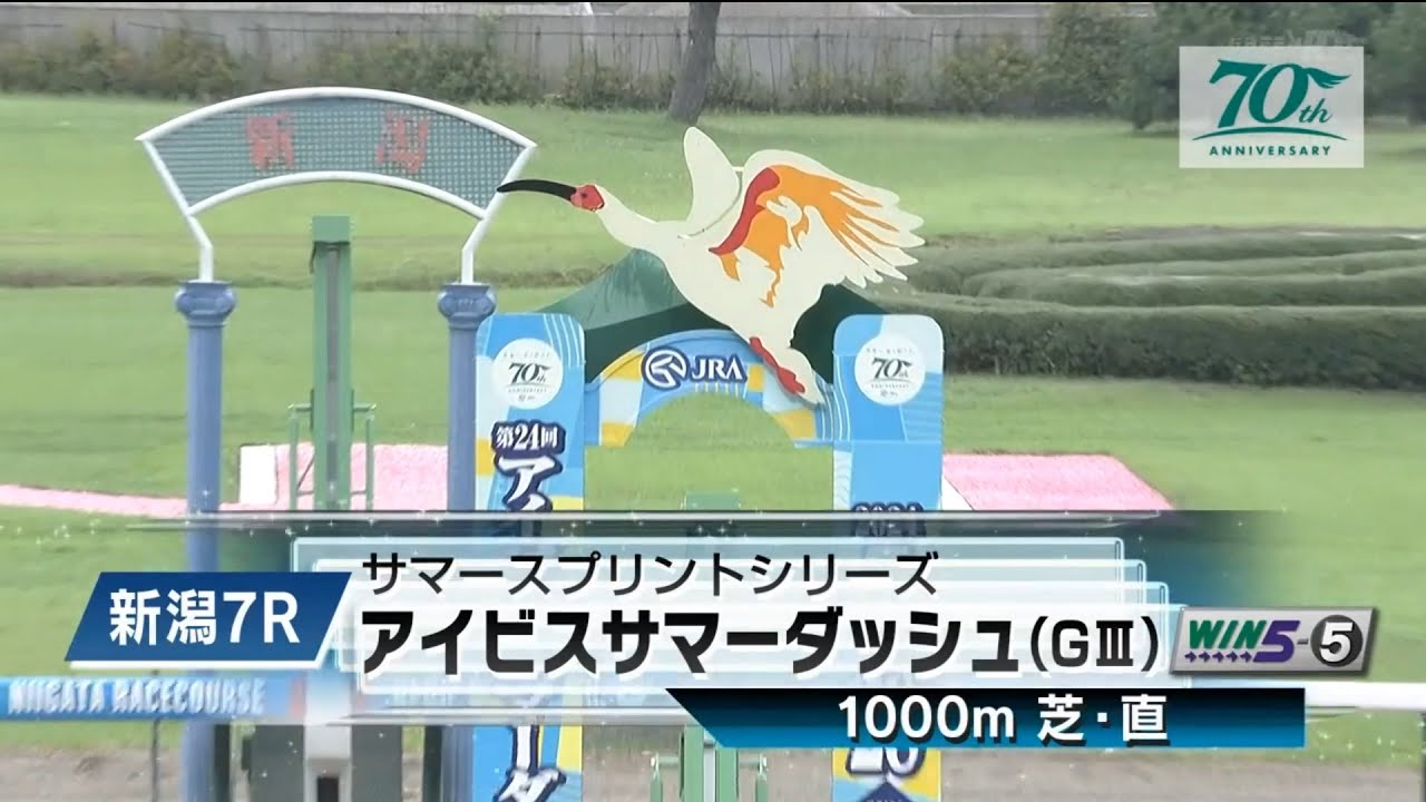 【競馬】2024年 第24回アイビスサマーダッシュ(GⅢ)【モズメイメイ / 国分恭介】