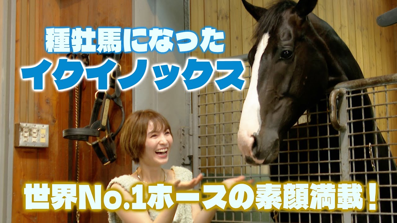 【ほのかの北海道取材①】イクイノックスの今！【社台スタリオンステーション】