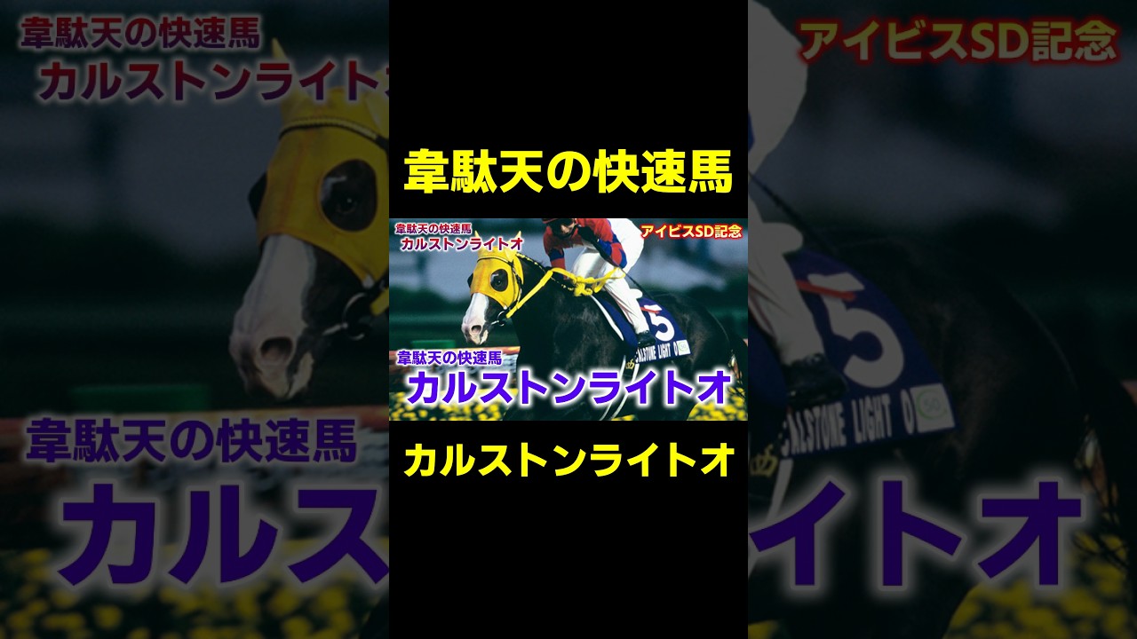 韋駄天の快速スプリンター カルストンライトオ　#アイビスサマーダッシュ #競馬 #競馬予想 #クイーンステークス