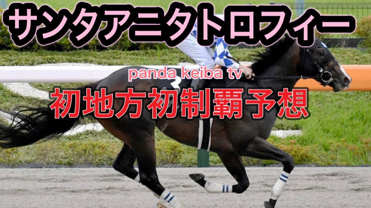 【サンタアニタトロフィー 】2024 頭固定‼️三連単6点‼️panda keiba tv