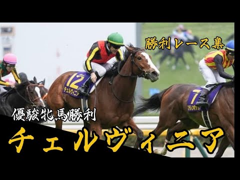 【注目】【競馬】5戦3勝、優秀牝馬オークスを勝利したチェルヴィニアの勝利レース集！