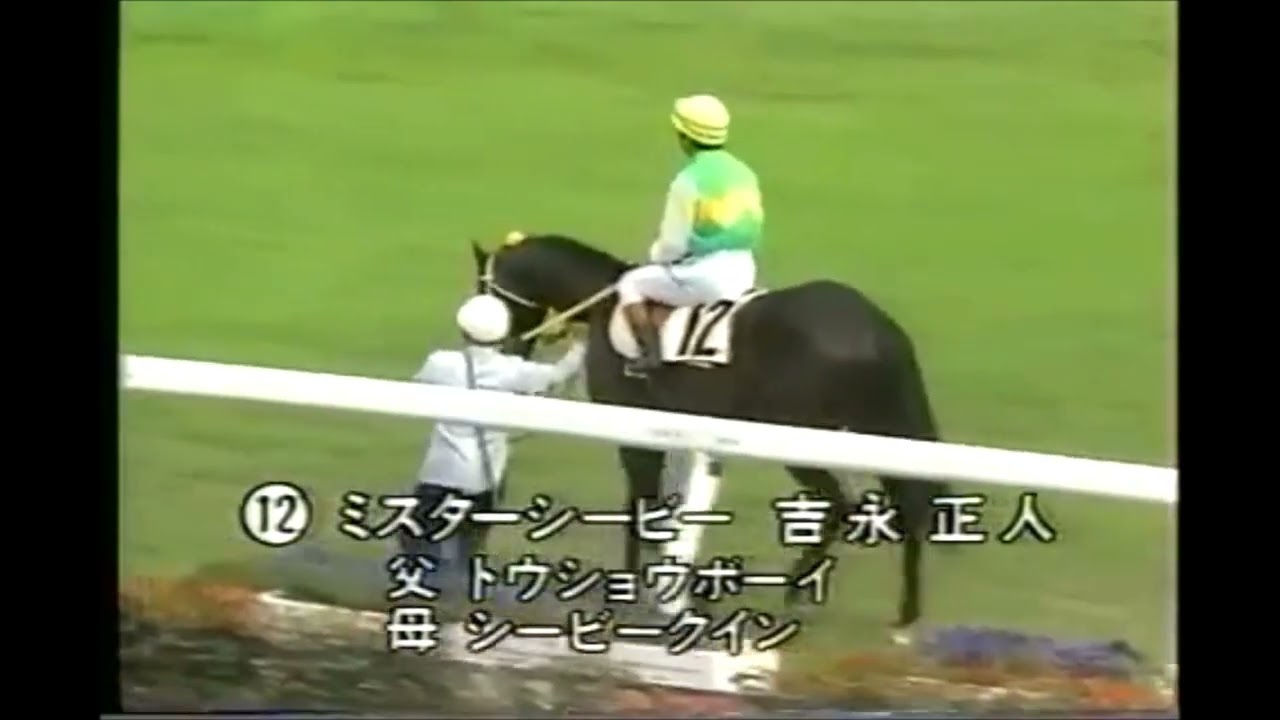 第50回　東京優駿（日本ダービー）本馬場入場　1983.5.29　　出走馬：ミスターシービー、メジロモンスニー 、ビンゴカンタ、 ブルーダーバン、ウメノシンオー、カツラギエース、シャダイソフィア他