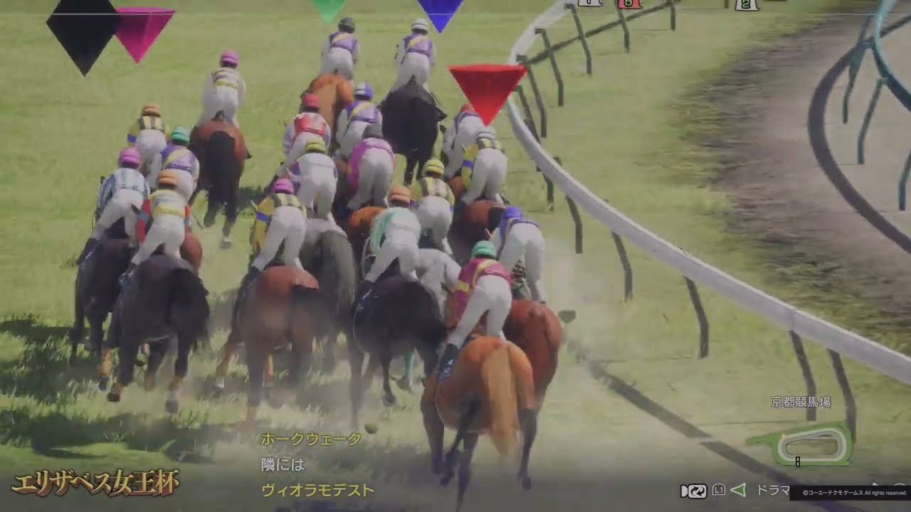 1991年 エリザベス女王杯