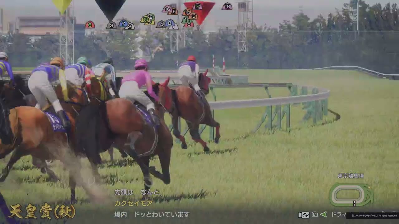 1991年 天皇賞 秋