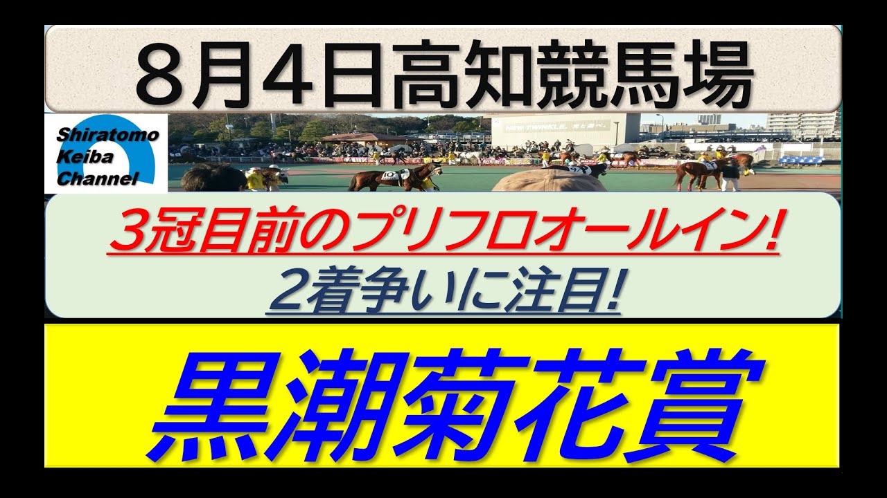【競馬予想】黒潮菊花賞！～２０２４年８月４日 高知競馬場 ：８－１３