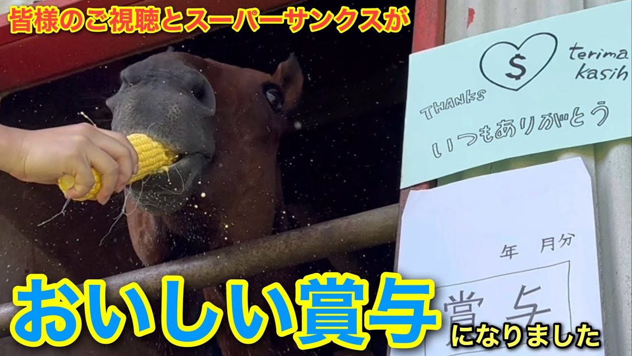 皆様のご視聴とスーパーサンクスがおいしい賞与になりました　いつもありがとうございます