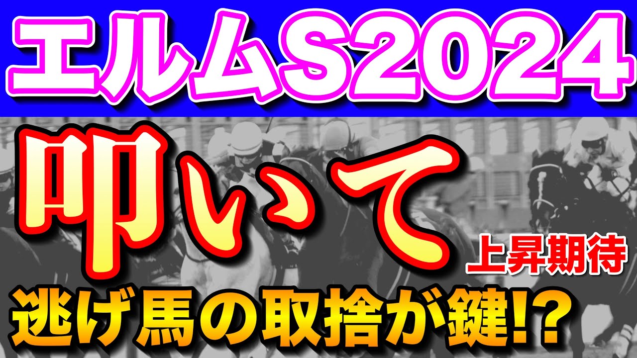 【エルムステークス2024最終結論】巻き返し期待の穴馬から勝負🔥