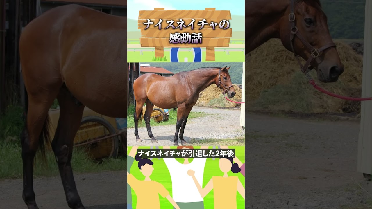 永遠の絆 - 馬場さんとナイスネイチャの心温まる物語#馬場さんとナイスネイチャ #競馬伝説 #永遠の絆 #有馬記念 #35歳の長寿馬 #心温まる物語 #忘れられない思い出