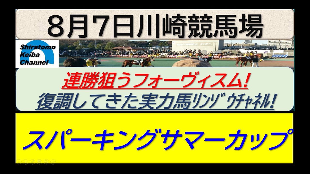 【競馬予想】SⅡスパーキングサマーカップ！～２０２４年８月７日 川崎競馬場 ：８－１７