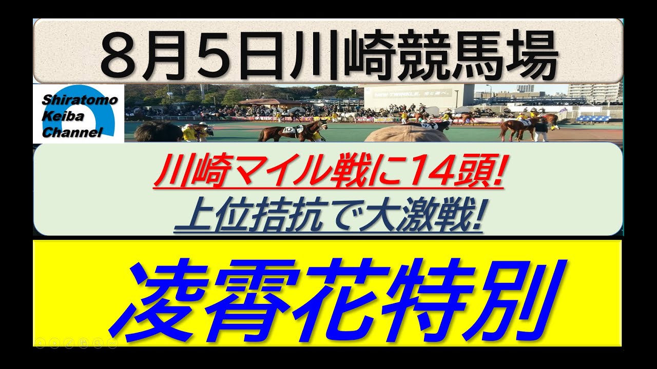 【競馬予想】凌霄花特別！～２０２４年８月５日 川崎競馬場 ：８－１５