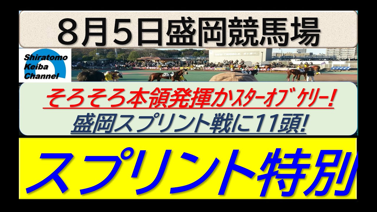 【競馬予想】スプリント特別！～２０２４年８月５日 盛岡競馬場 ：８－１６